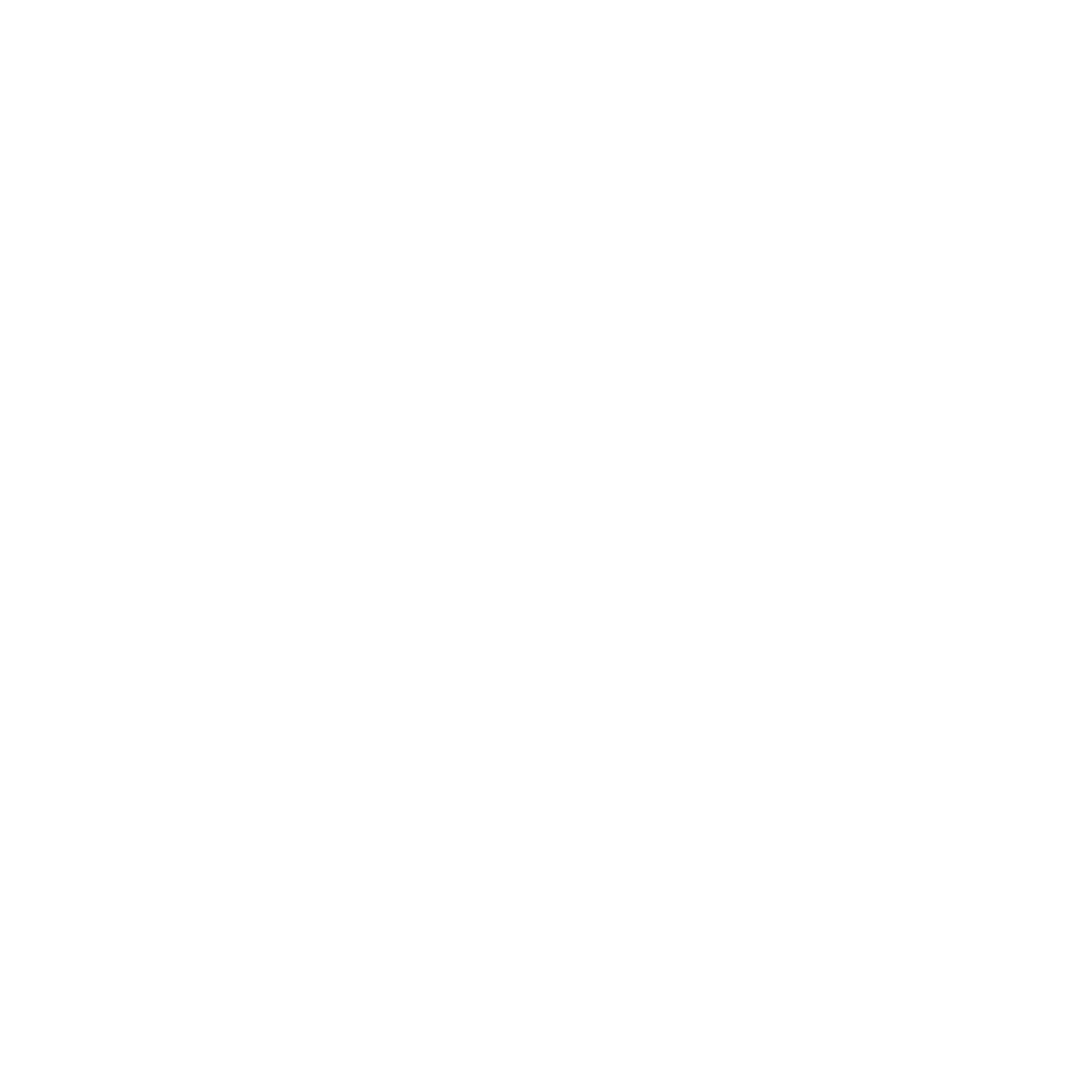 Rivora Group logo